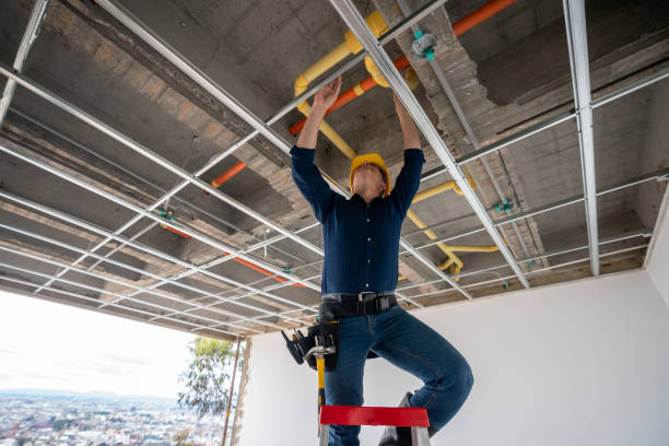 Best Best Plumbers Near Me  in Farmerville, LA