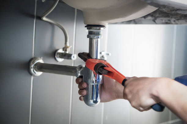 Best Plumbing Inspection Services  in Farmerville, LA